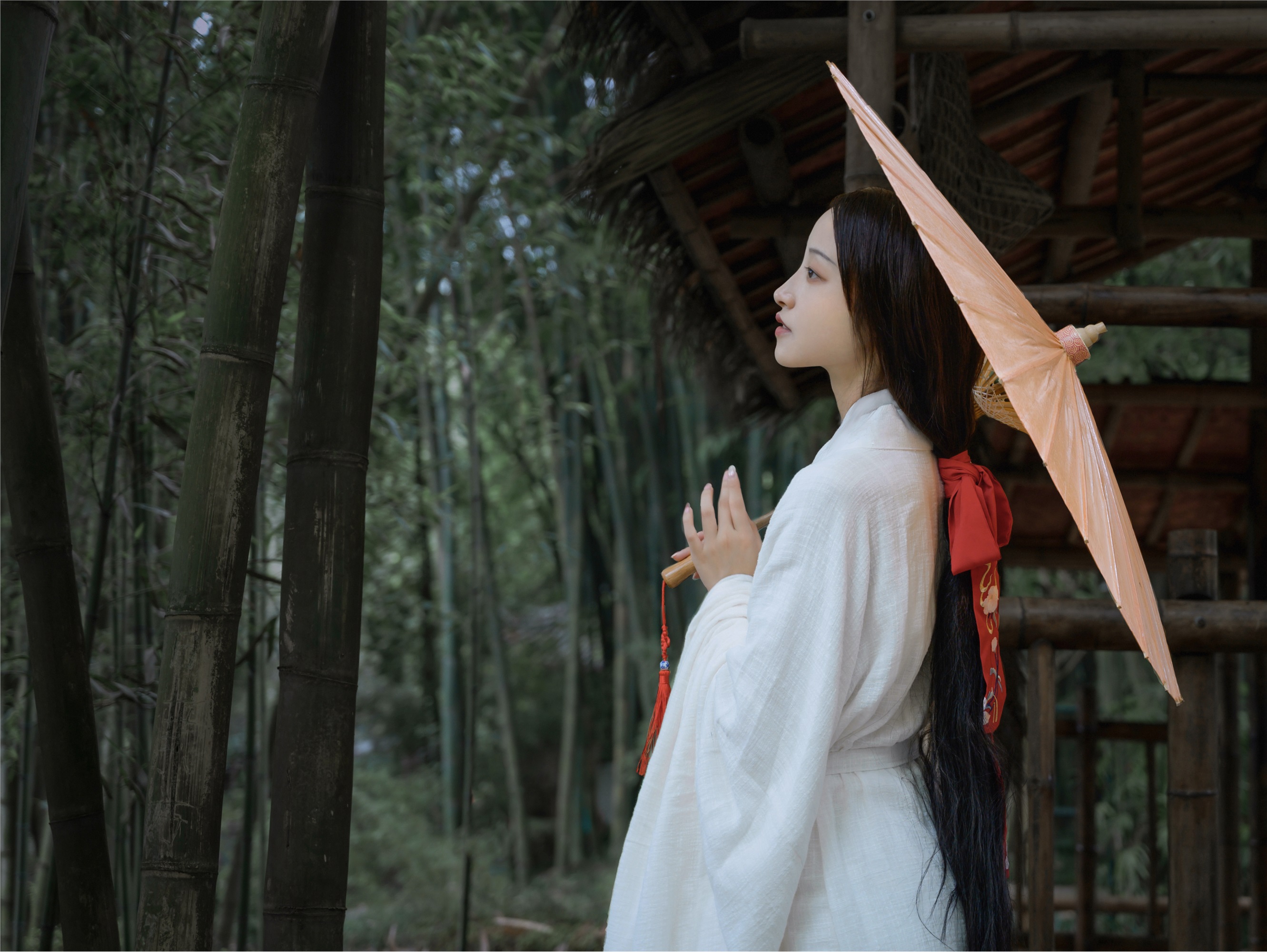 YITUYU艺图语 2025.01.30 清竹 瑾年